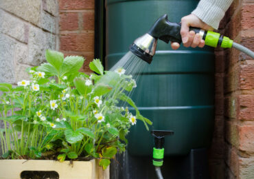 Récupérer l’eau de pluie pour votre jardin